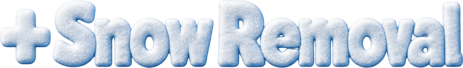 + Snow Removal
