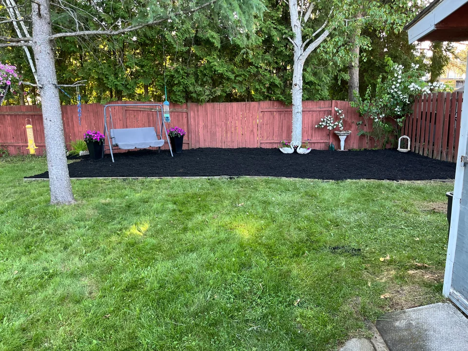 Sweeping black mulch border around trees and a bench in a green backyard