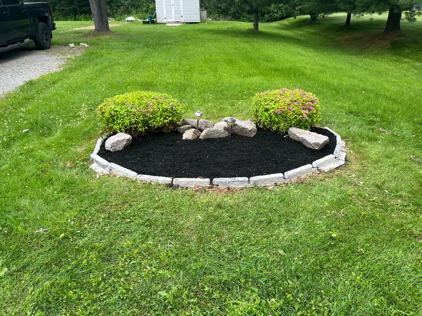 Green lawn surrounding a neatly edged garden island with shrubs and fresh mulch