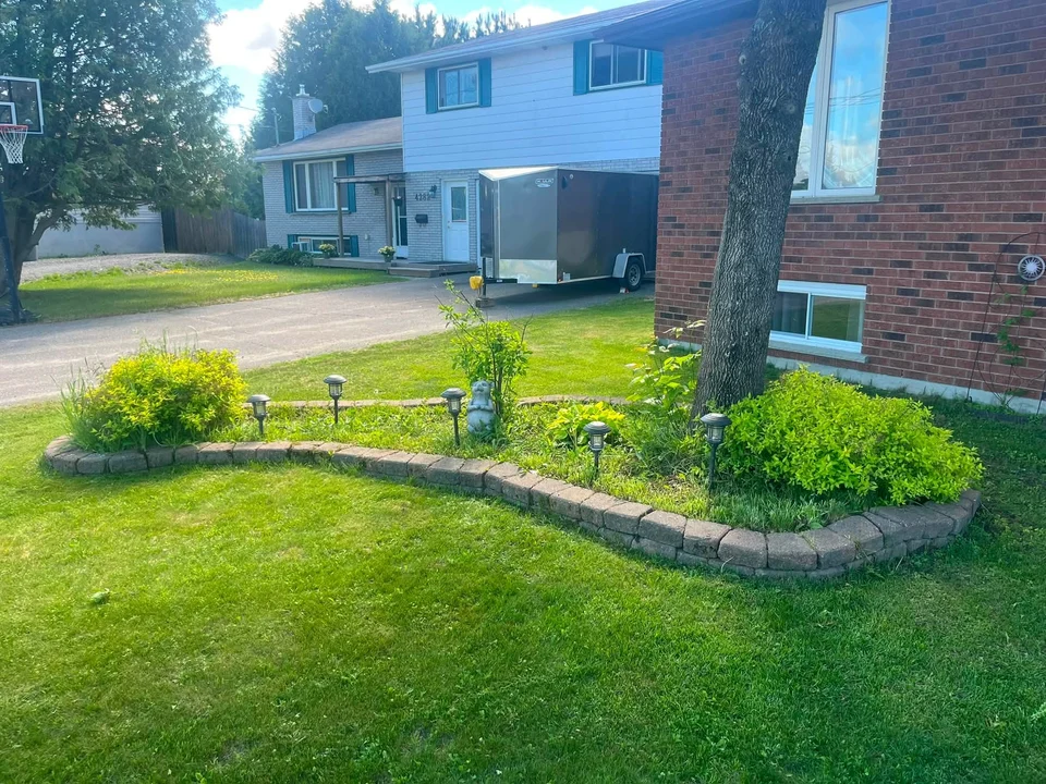 Curved front garden bed beneath a mature tree — before, pair 1 of 36