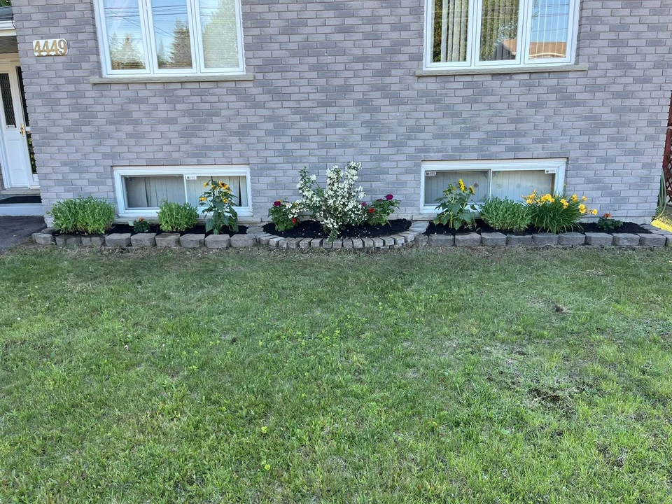 Foundation garden along a stone-faced house — after, pair 13 of 36