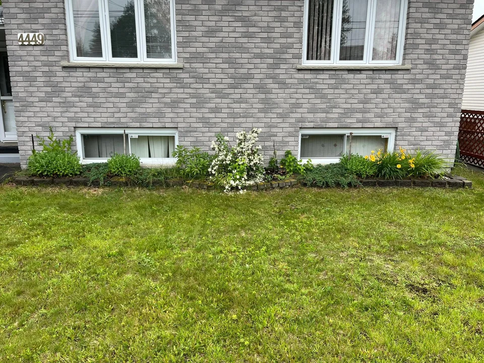 Foundation garden along a stone-faced house — before, pair 13 of 36