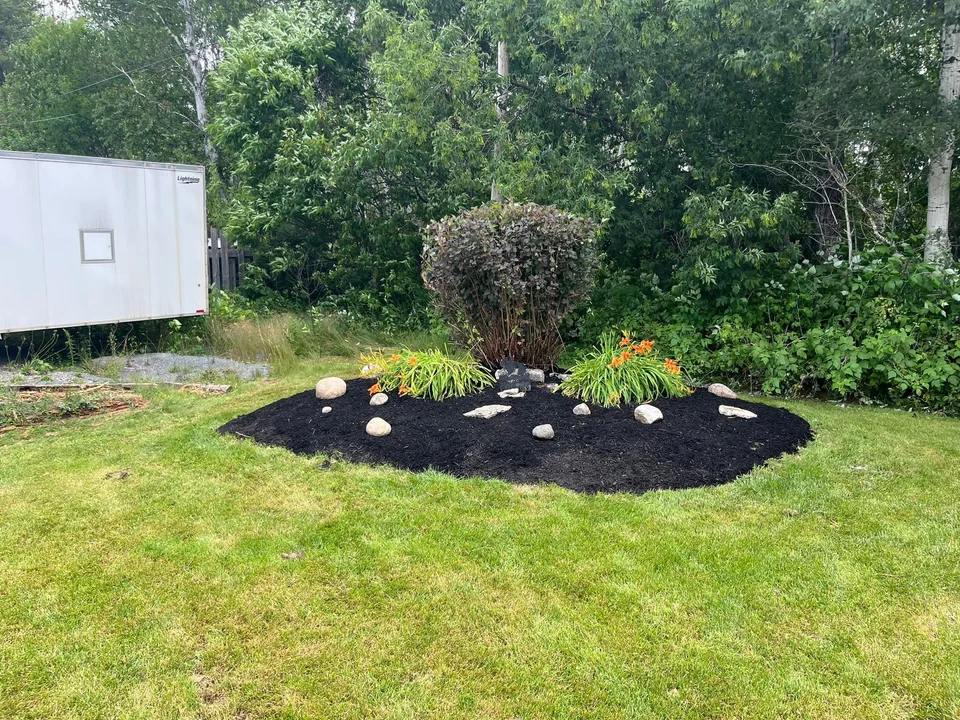 Garden island with a central shrub — after, pair 14 of 36