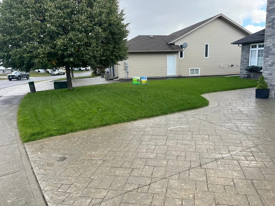 Front lawn between a driveway and walkway — after, pair 15 of 36