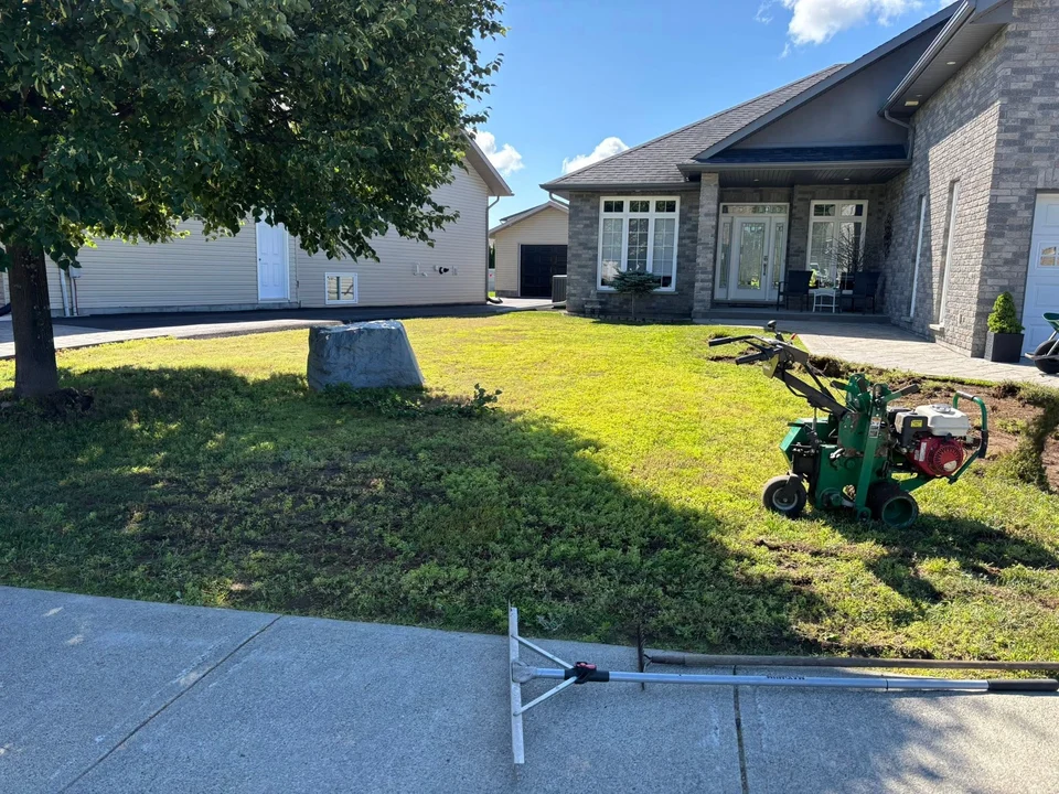 Front lawn between a driveway and walkway — before, pair 15 of 36