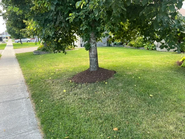 Tree planting bed beside a residential sidewalk — after, pair 19 of 36