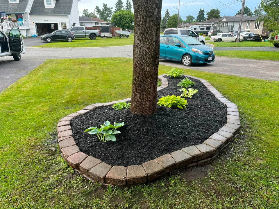 Raised stone-edged garden bed around a tree — after, pair 2 of 36