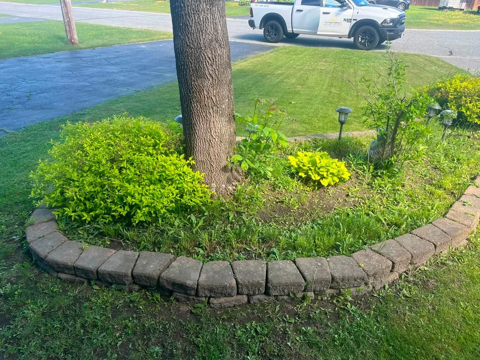 Raised stone-edged garden bed around a tree — before, pair 2 of 36