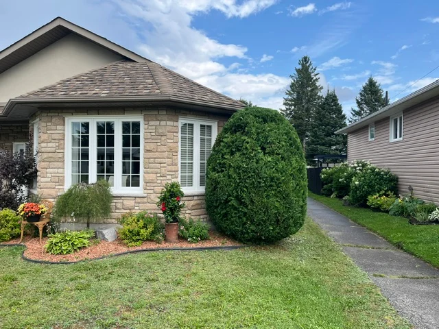 Evergreen shrub and front garden beside a curved walkway — after, pair 22 of 36