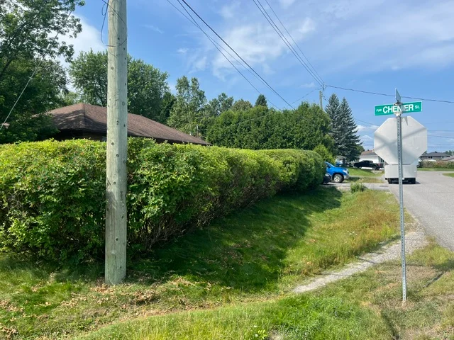 Long roadside hedge beside a utility pole — after, pair 25 of 36