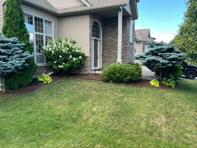 Front entrance with shrubs and a blue spruce — after, pair 26 of 36