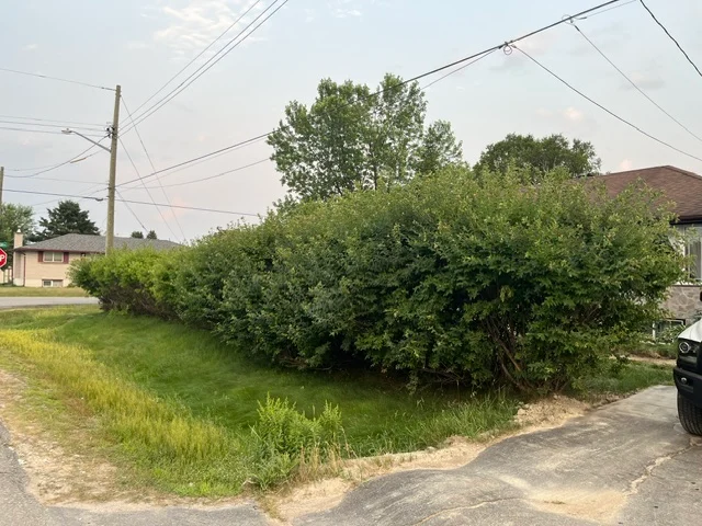 Broad hedge at a residential street corner — before, pair 27 of 36