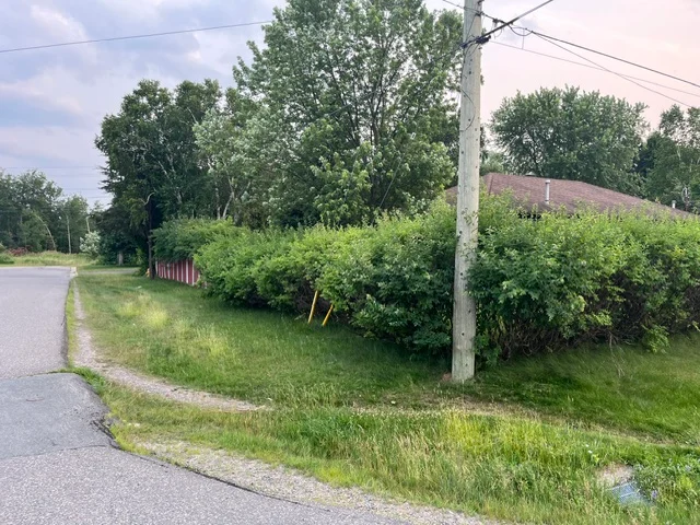 Trimmed hedge along a roadside lawn — before, pair 28 of 36