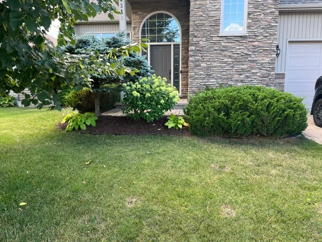 Low shrubs beside the entrance of a stone-faced home — after, pair 29 of 36