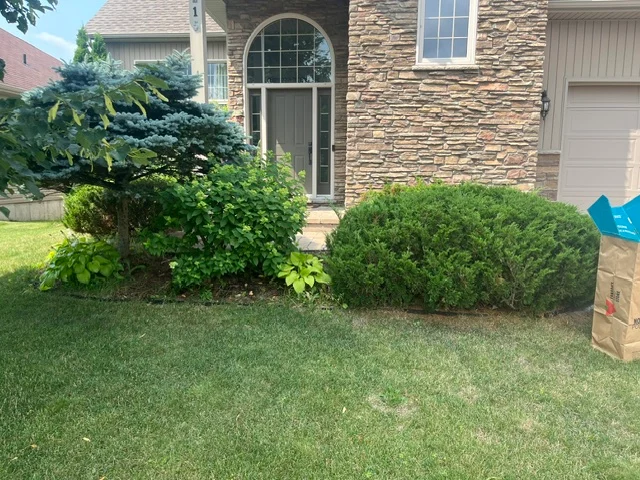 Low shrubs beside the entrance of a stone-faced home — before, pair 29 of 36