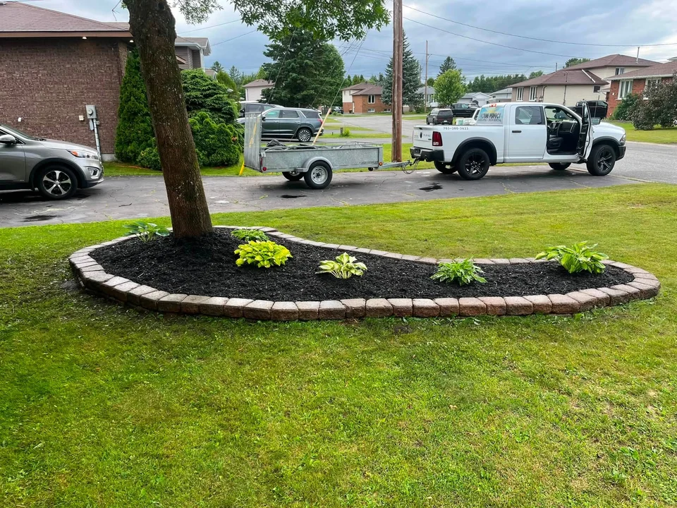 Front lawn and curved garden border — after, pair 3 of 36