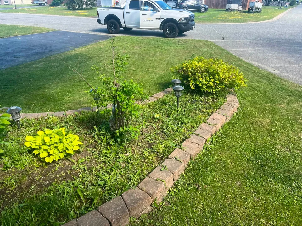 Front lawn and curved garden border — before, pair 3 of 36