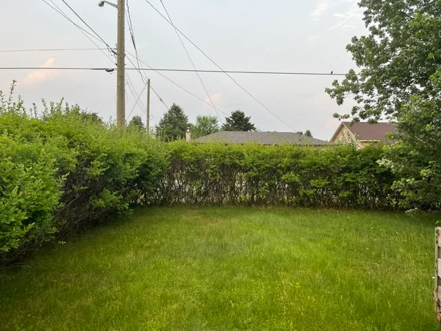 Backyard hedge bordering an open lawn — after, pair 30 of 36