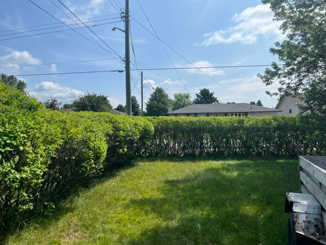 Backyard hedges surrounding a lawn and clothesline — after, pair 31 of 36