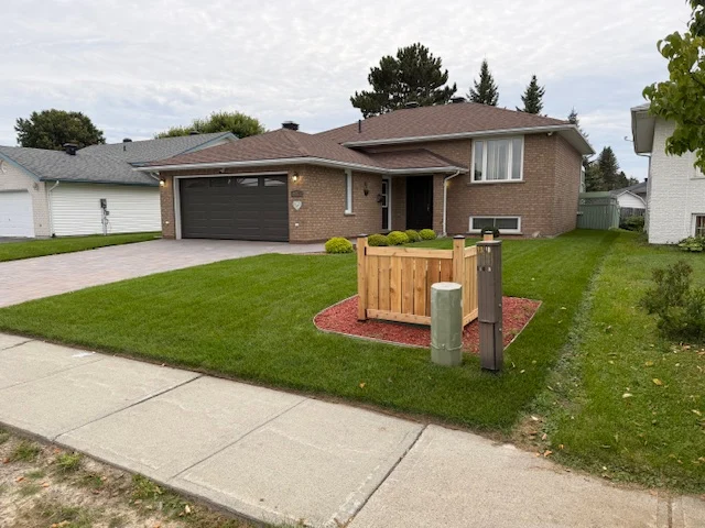 Street-facing lawn surrounding a screened utility enclosure — after, pair 35 of 36