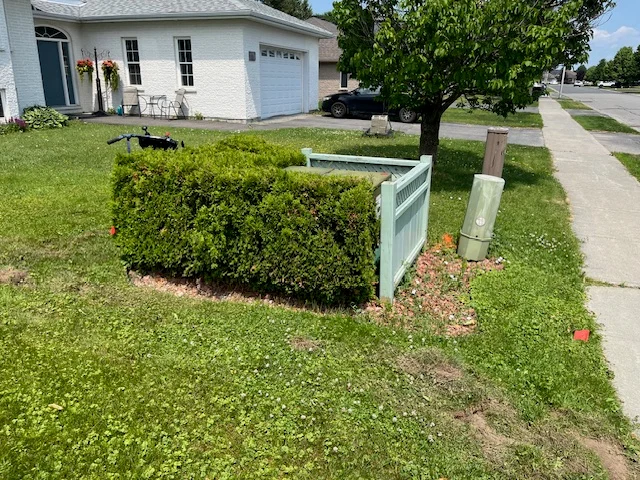 Street-facing lawn surrounding a screened utility enclosure — before, pair 35 of 36