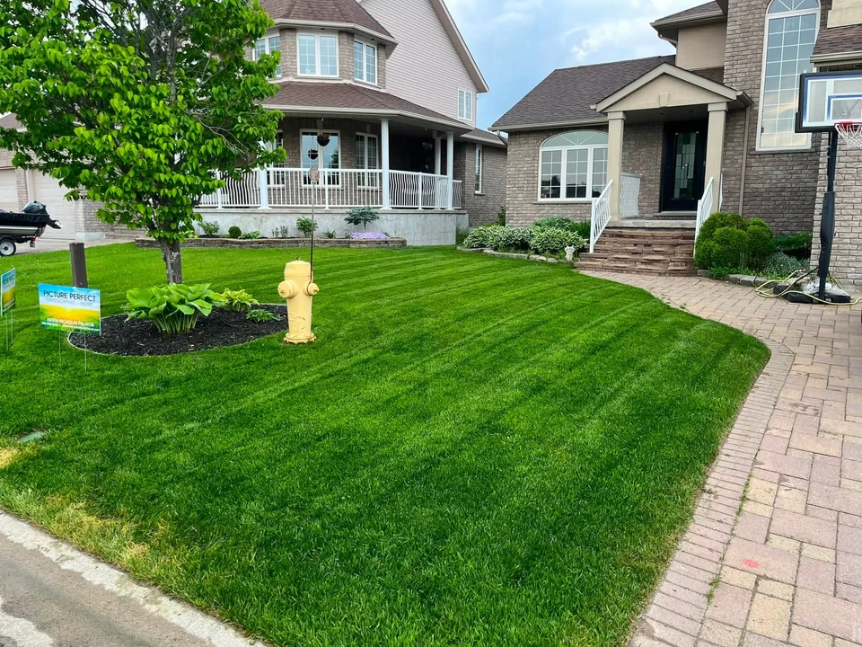 Front lawn beside a curved stone walkway — after, pair 5 of 36