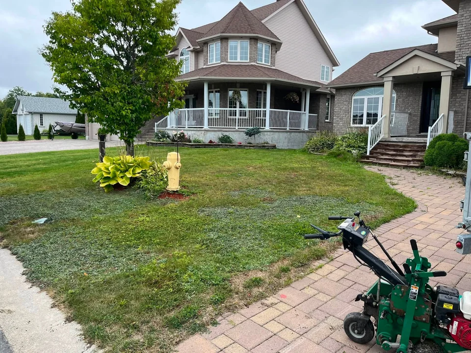 Front lawn beside a curved stone walkway — before, pair 5 of 36