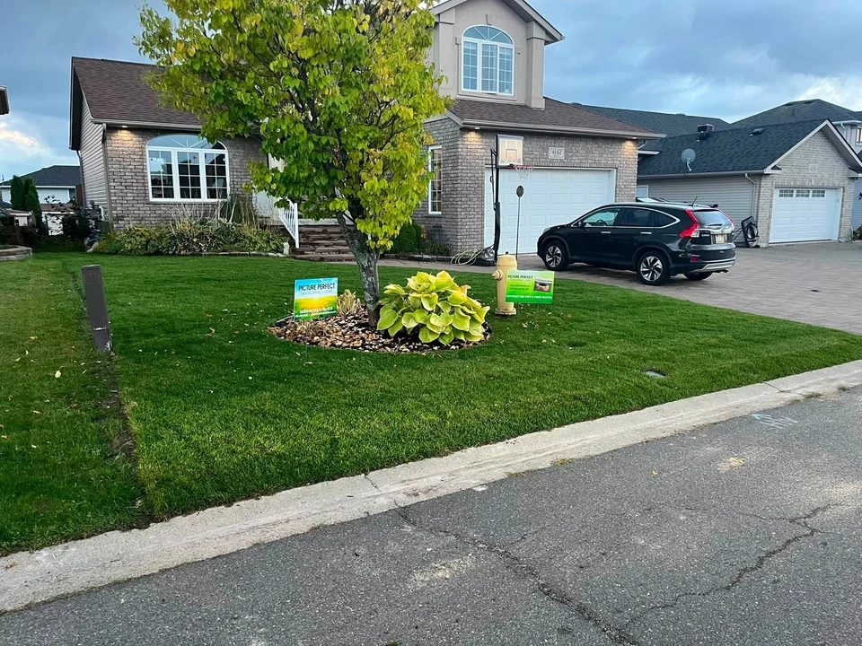 Street-facing lawn and tree planting bed — after, pair 6 of 36
