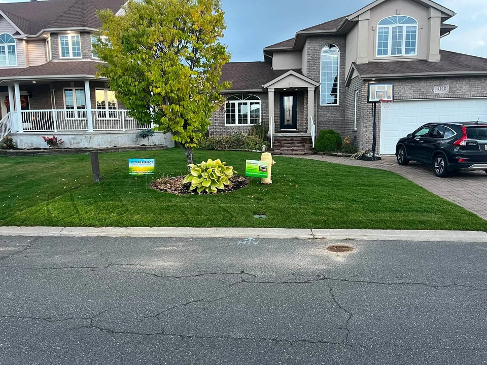Front garden and lawn surrounding a young tree — after, pair 7 of 36