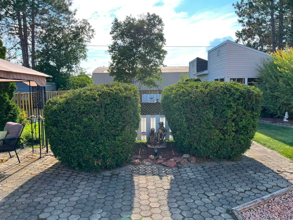 Paired hedges beside a paved patio — after, pair 8 of 36
