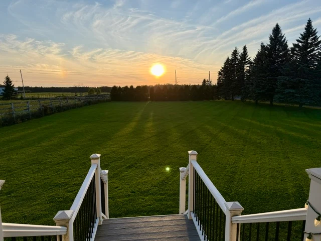 Sunset over a neatly mowed lawn viewed from white deck steps